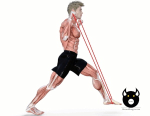 Resistance band lunges