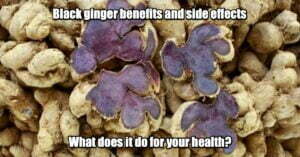 Black ginger benefits and side effects
